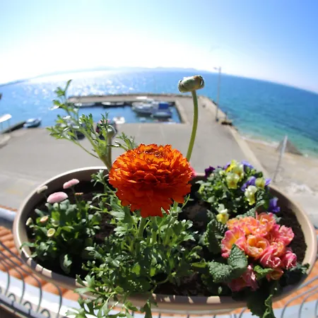 호텔 델핀 자다르